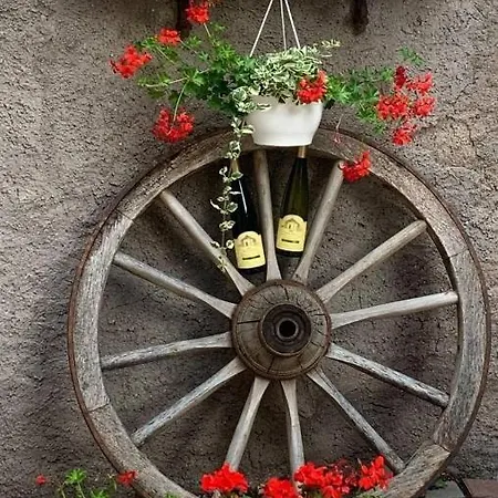 Maison Avec Terrasse Centre-cottage Garden Terrace Center Old Town Casa de Férias Colmar