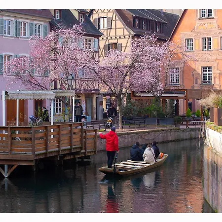 Maison Avec Terrasse Centre-cottage Garden Terrace Center Old Town * Colmar