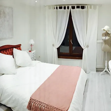 Maison Avec Terrasse Centre-cottage Garden Terrace Center Old Town コルマール