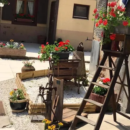 Maison Avec Terrasse Centre-cottage Garden Terrace Center Old Town Colmar