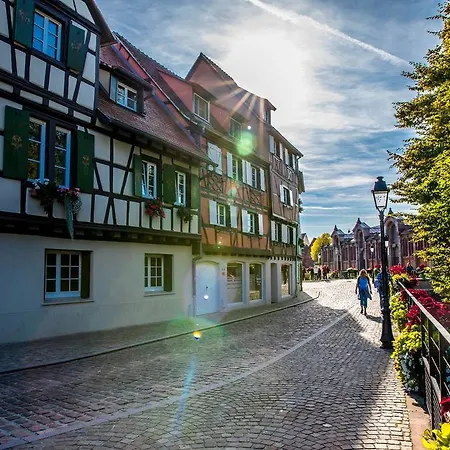 Maison Avec Terrasse Centre-cottage Garden Terrace Center Old Town Colmar