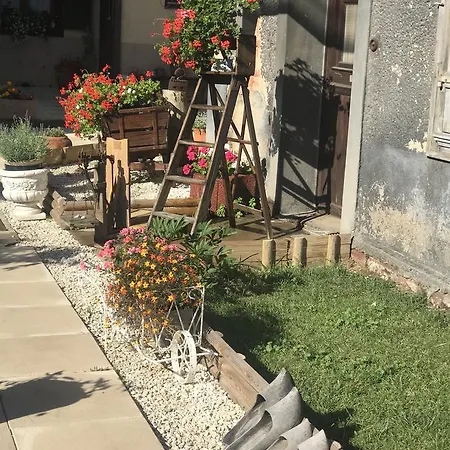 Maison Avec Terrasse Centre-cottage Garden Terrace Center Old Town