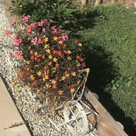 Maison Avec Terrasse Centre-cottage Garden Terrace Center Old Town *