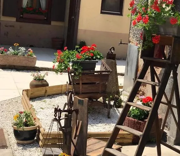 Maison Avec Terrasse Centre-cottage Garden Terrace Center Old Town コルマール