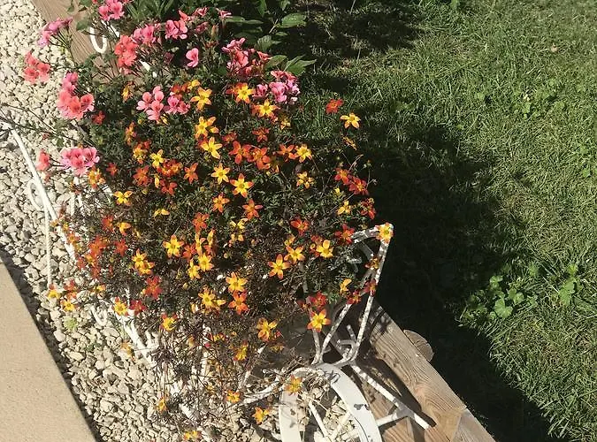 Maison Avec Terrasse Centre-cottage Garden Terrace Center Old Town *